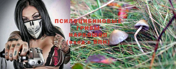 PSILOCYBIN Котовск