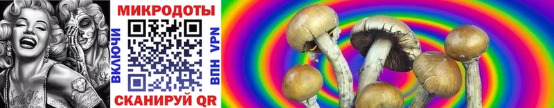omg ТОР  Сосновка  Галлюциногенные грибы GOLDEN TEACHER 